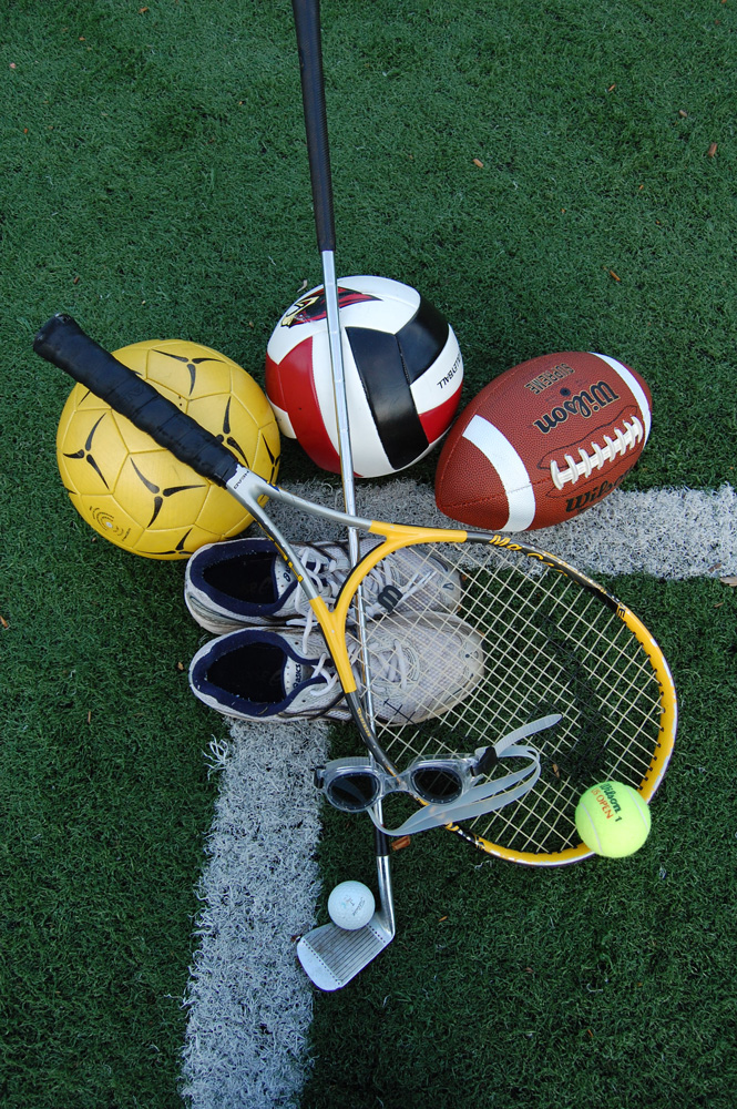 Fall Sporting Opportunities The Acronym IMSA's Official Student