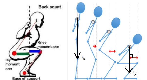 Repetition Tempo for Muscular Hypertrophy – Hadron